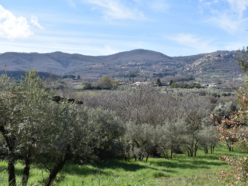 parco degli ulivi