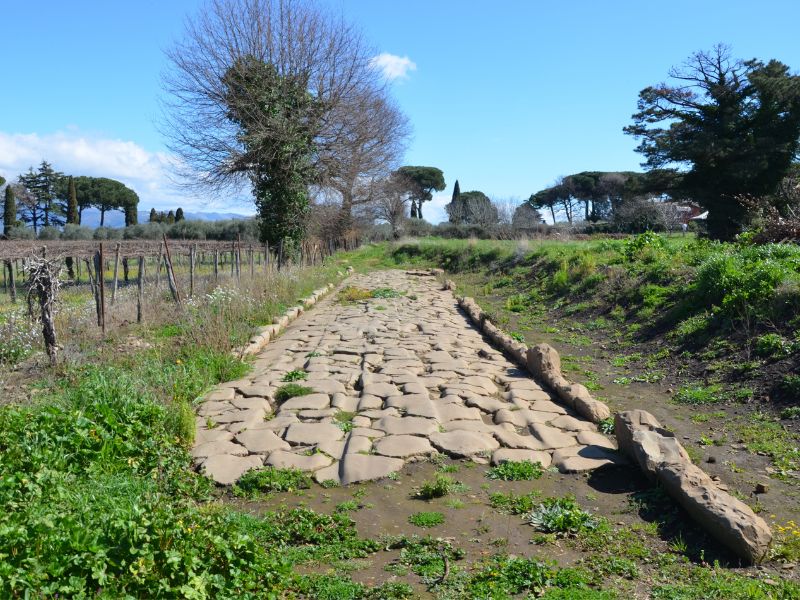 via basolata